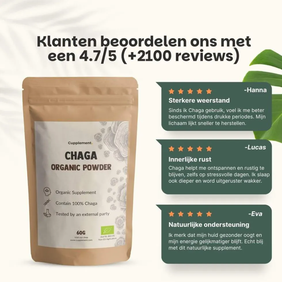 20% korting | Cupplement Chaga Poeder Biologisch