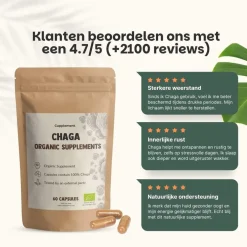 20% korting | Cupplement Chaga Capsules 500 mg Biologisch
