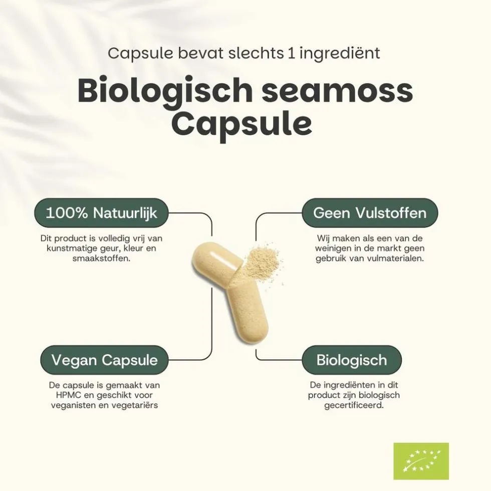 30% korting | Cupplement Combideal Sea Moss Capsules 500 mg Biologisch