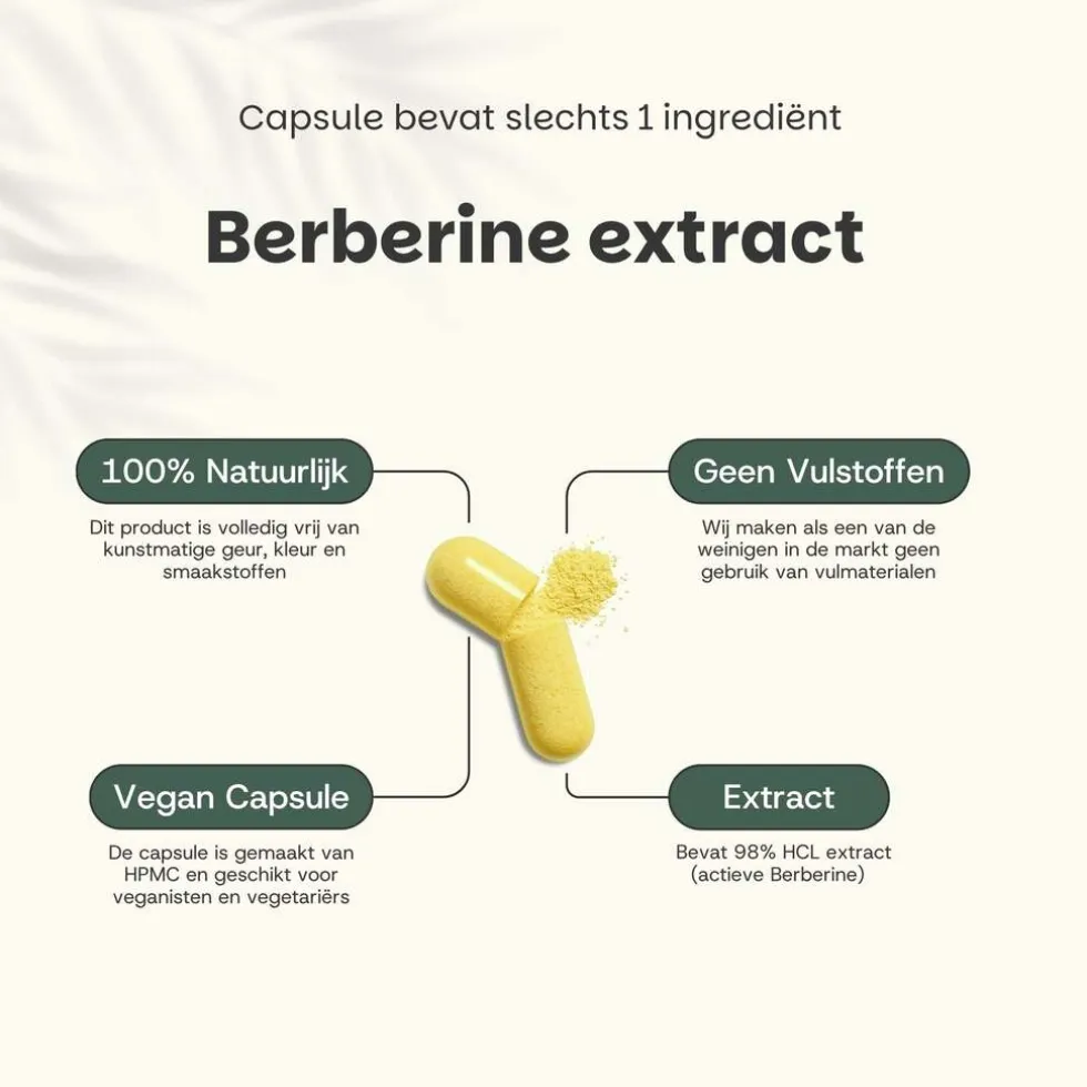 20% korting | Cupplement Voordeelverpakking Berberine Extract Capsules 400 mg