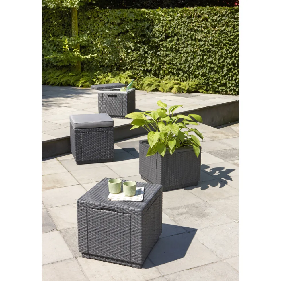 Allibert 40L Ice Cube