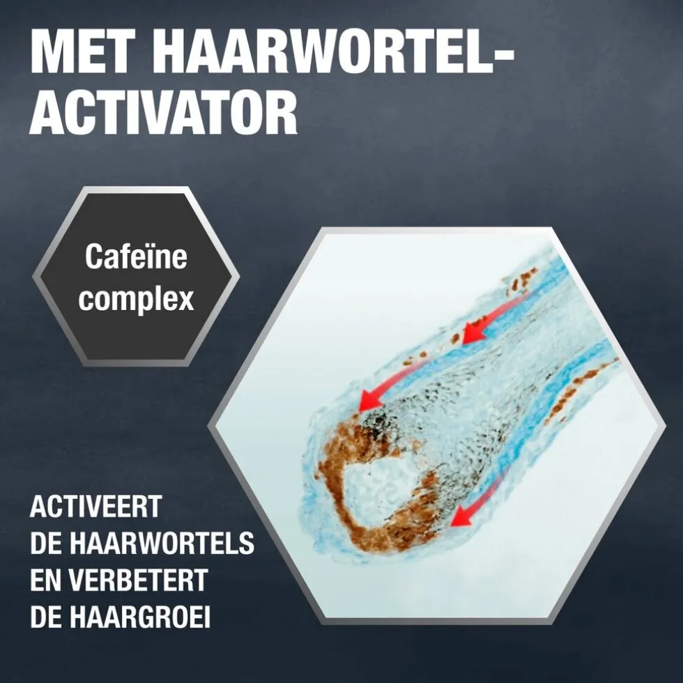 Alpecin Liquid Hair Energizer