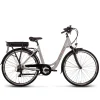 Degreaser dames ebike 45 cm 10.4 Ah 7sp zilver