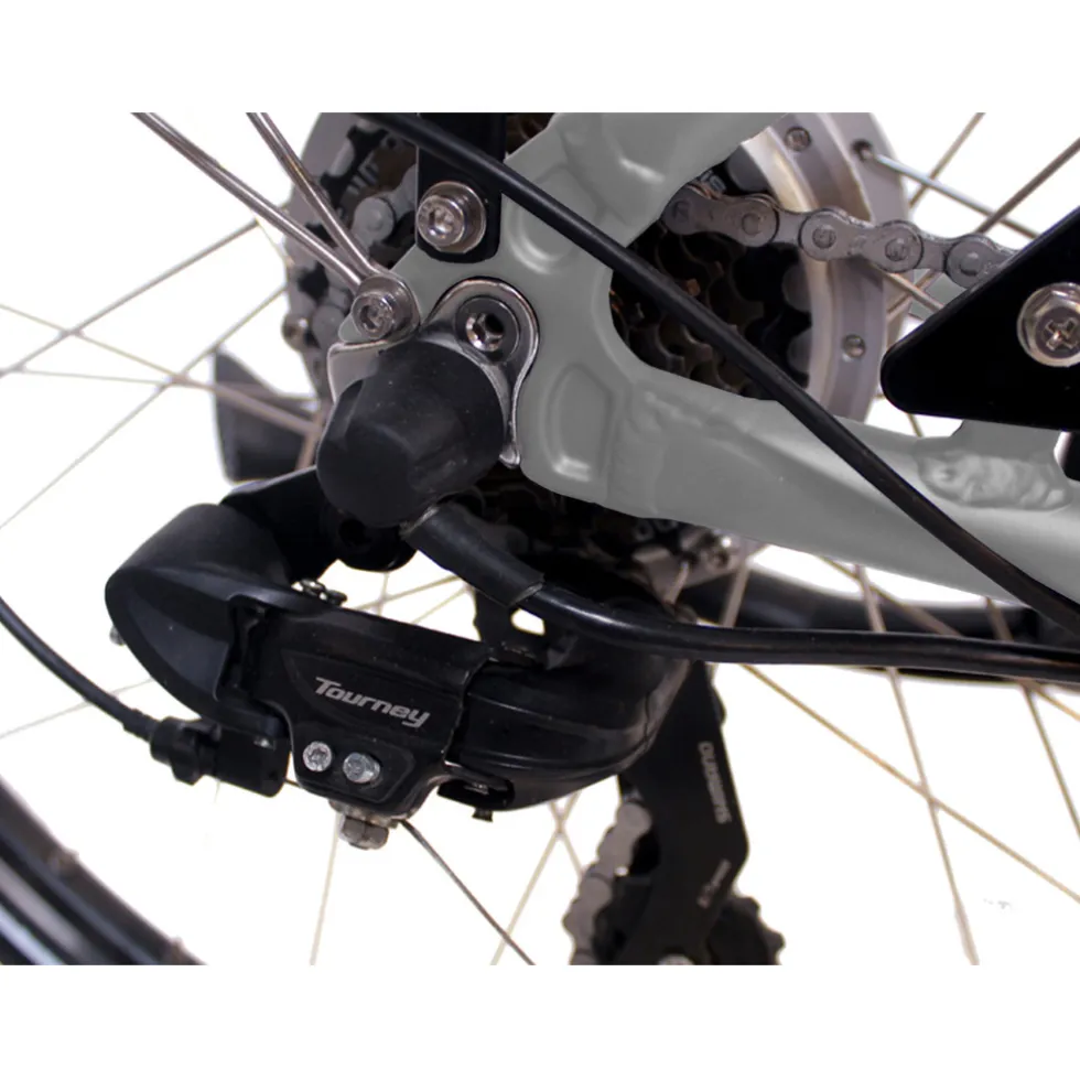 Degreaser dames ebike 50 cm 10.4 Ah 7sp zilver