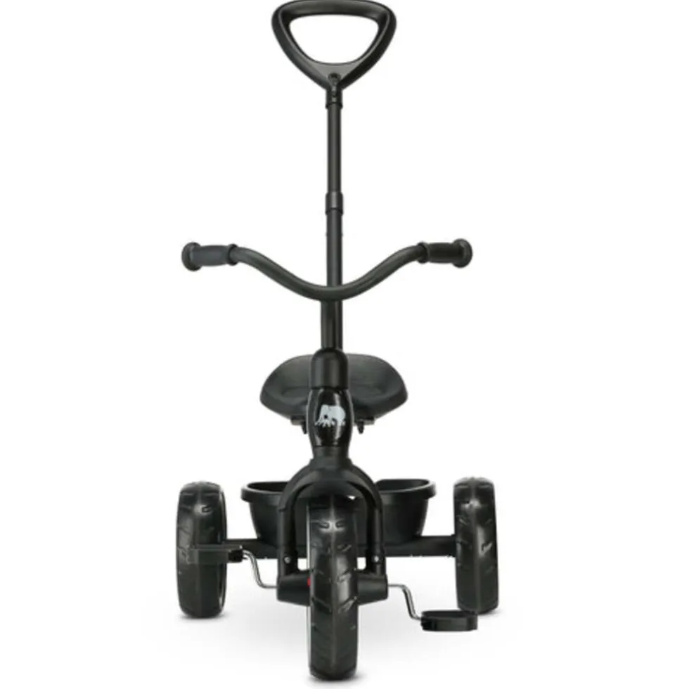 Deryan Driewieler Loopfiets met Duwstang