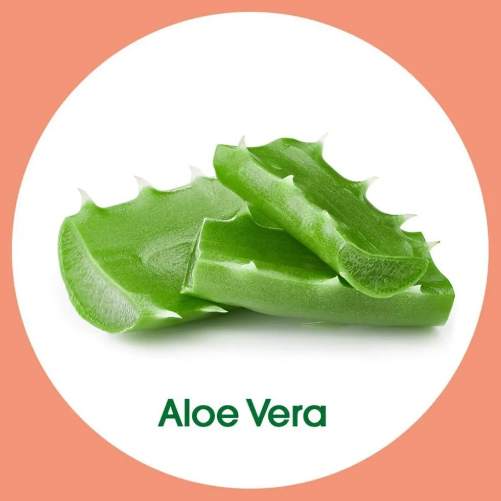 Dettol Aloë Vera Antibacteriële Wasgel