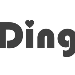 Ding Grijs 2 Stuks Gordelkussen