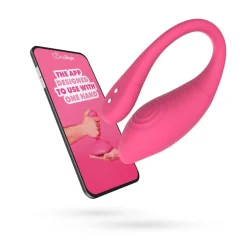 EasyConnect Vibrerend Eitje Bediening met App