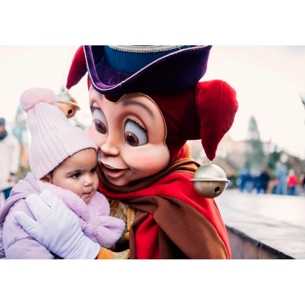 Efteling Ticket
