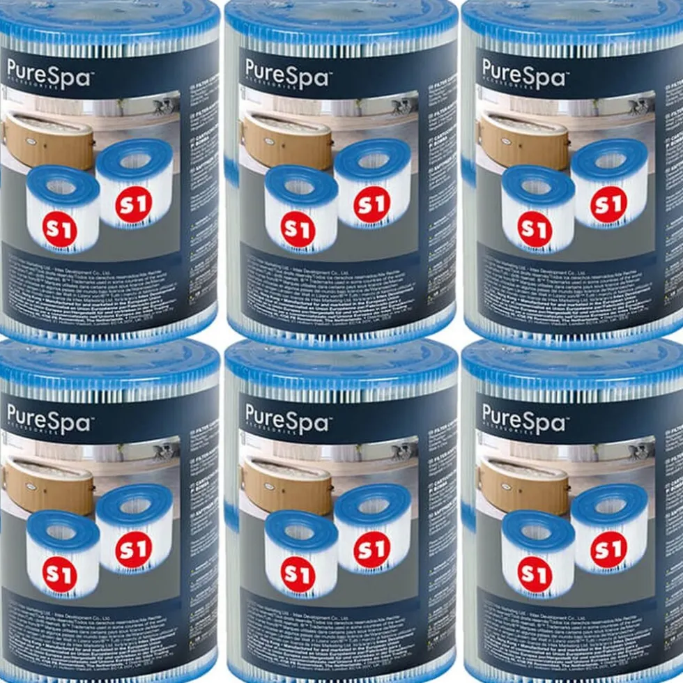 Intex 29001 Filter S1 voor Spa 6x2 stuks