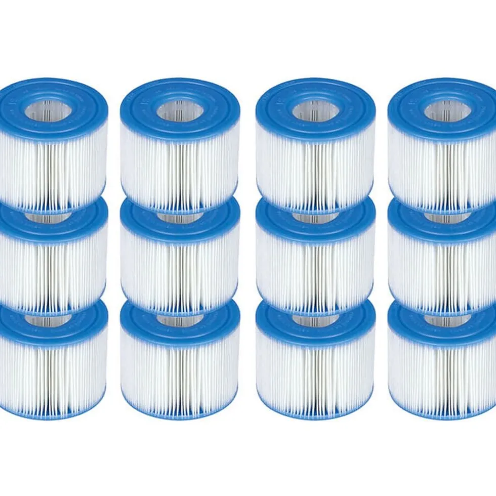 Intex 29001 Filter S1 voor Spa 6x2 stuks
