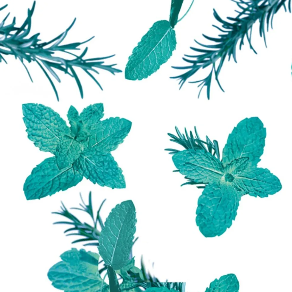 Kneipp Goodbye Stress Watermunt Rozemarijn Badschuim