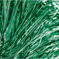 Kneipp Men Nature Feeling Dennen, Buffelgras & IJslands Mos 2-in-1 Douche