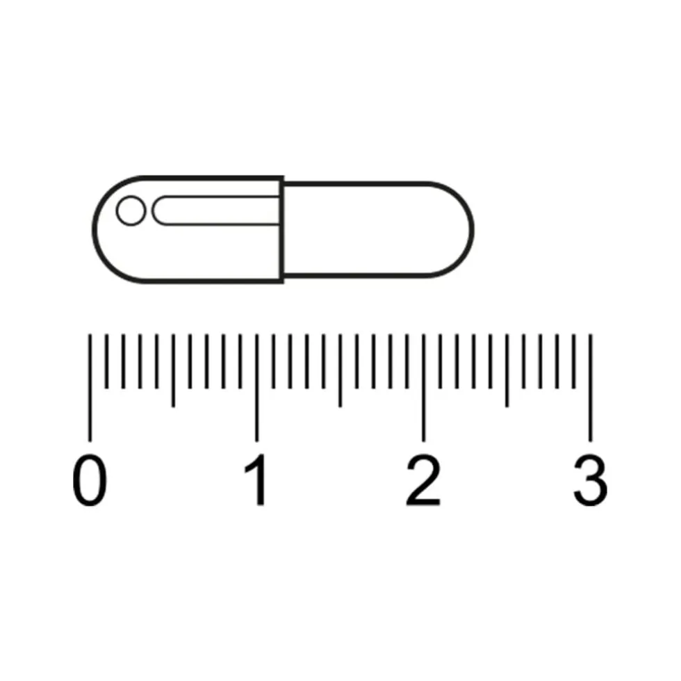 Kruidvat Kurkuma Capsules