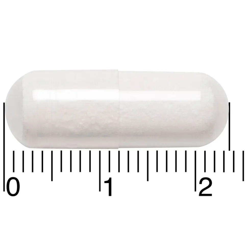 Leefvitaal Magnesium L-Tryptofaan/B6 Capsules