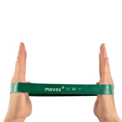 MoVeS Miniband