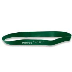 MoVeS Miniband