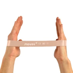 MoVeS Miniband