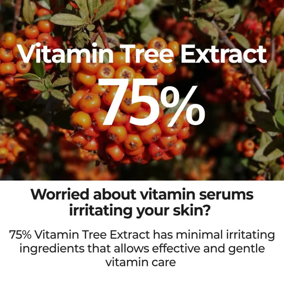 Numbuzin No.5 Goodbye Blemish Serum
