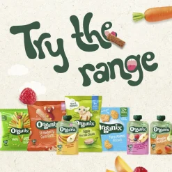 Organix 6+M Mango, Peer & Granola Knijpfruit