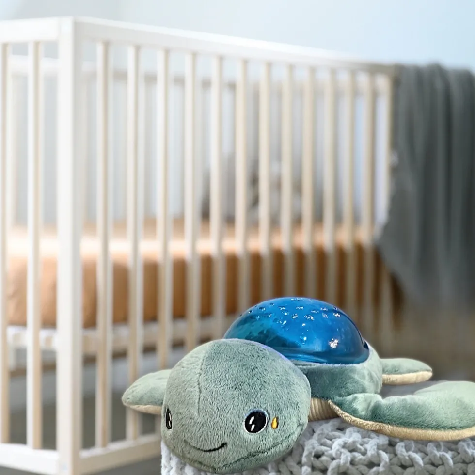 Pabobo Aqua Effect Turtle Babyprojector