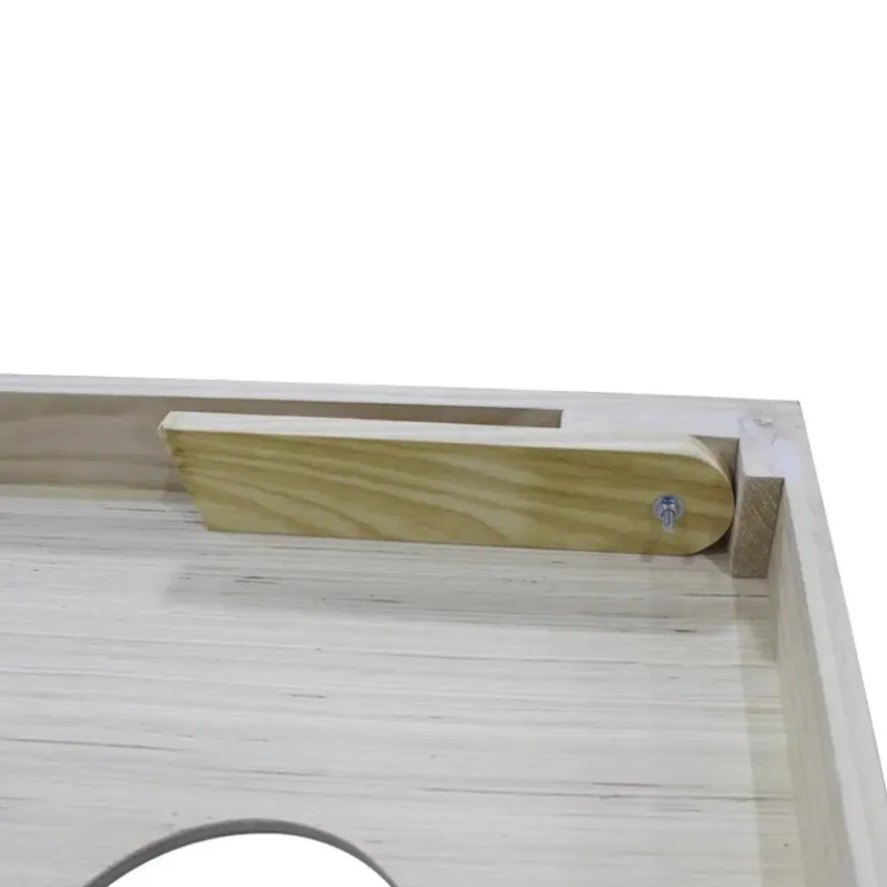 Pegasi Cornhole game set
