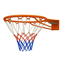 Pegasi basketbalring