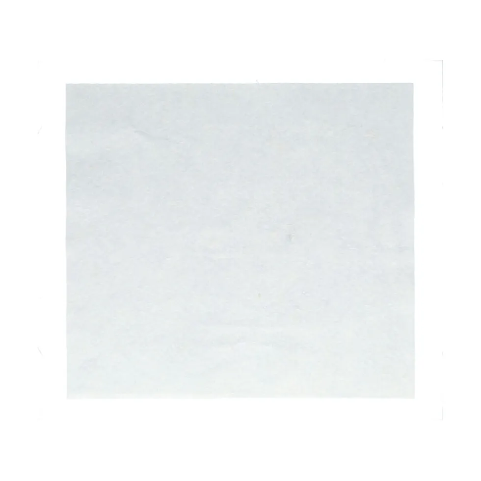 Protecton Poetsdoeken 34x38cm 10 Stuks