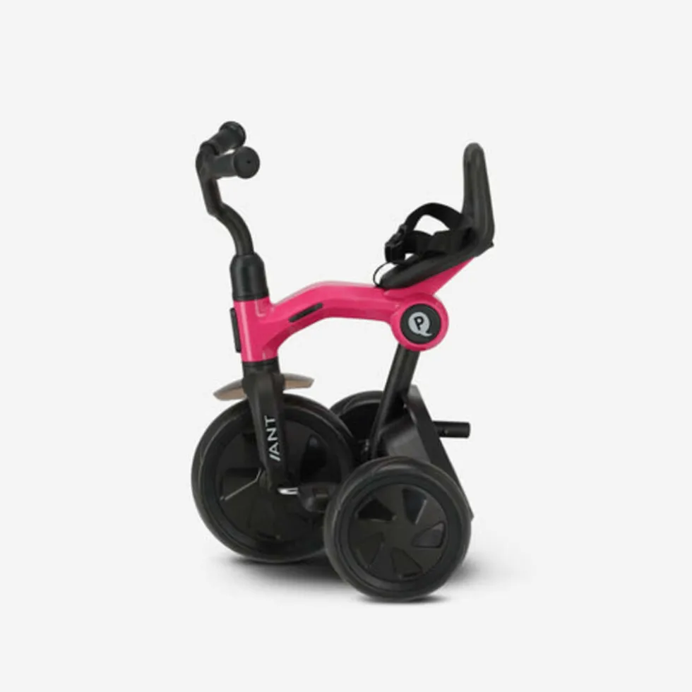 Qplay Ant driewieler – Roze