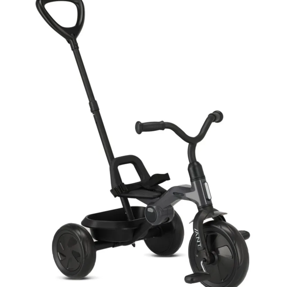 Qplay Ant Driewieler met duwstang