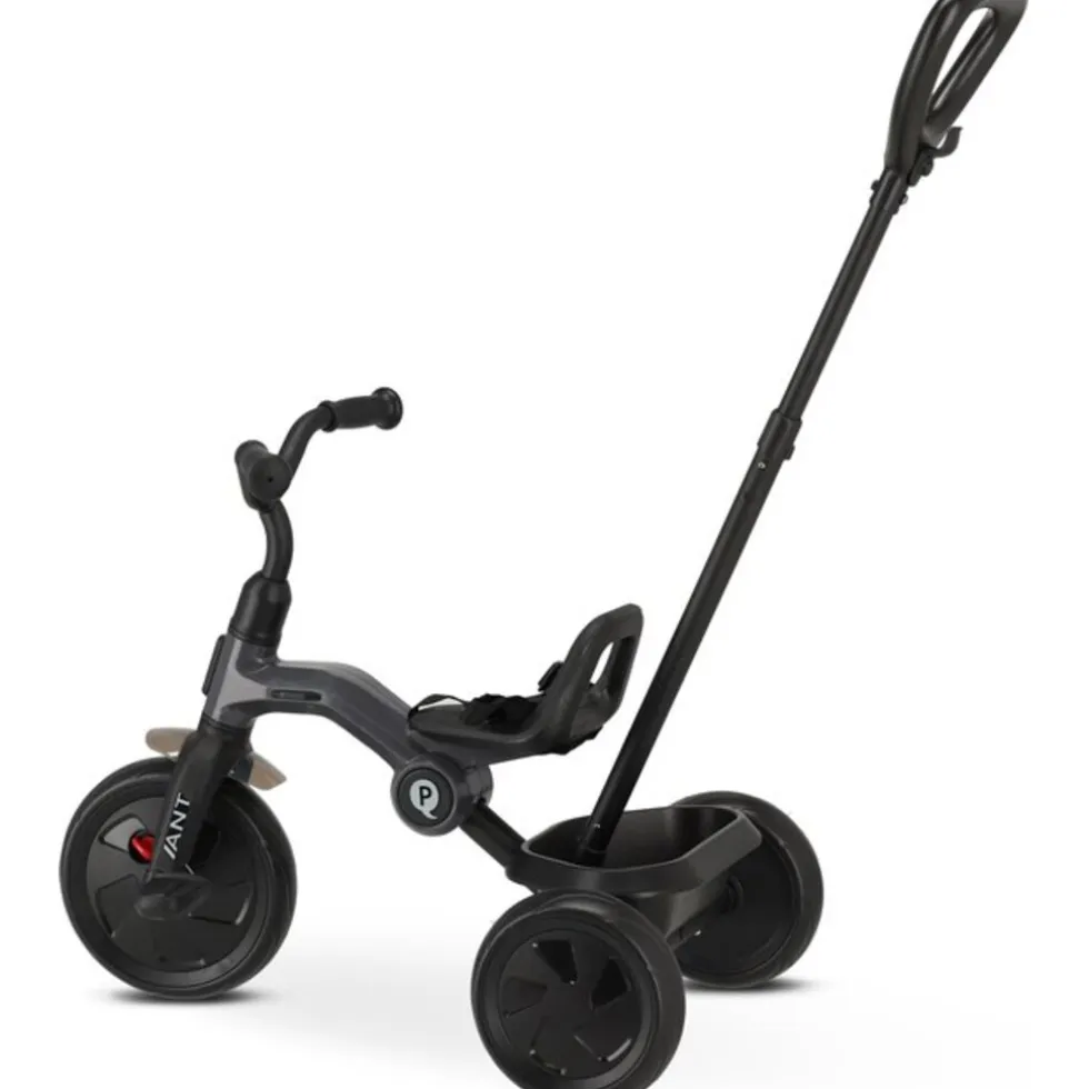 Qplay Ant Driewieler met duwstang