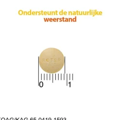 Roter Vitamine C 70 mg Suikervrije Kauwtabletten