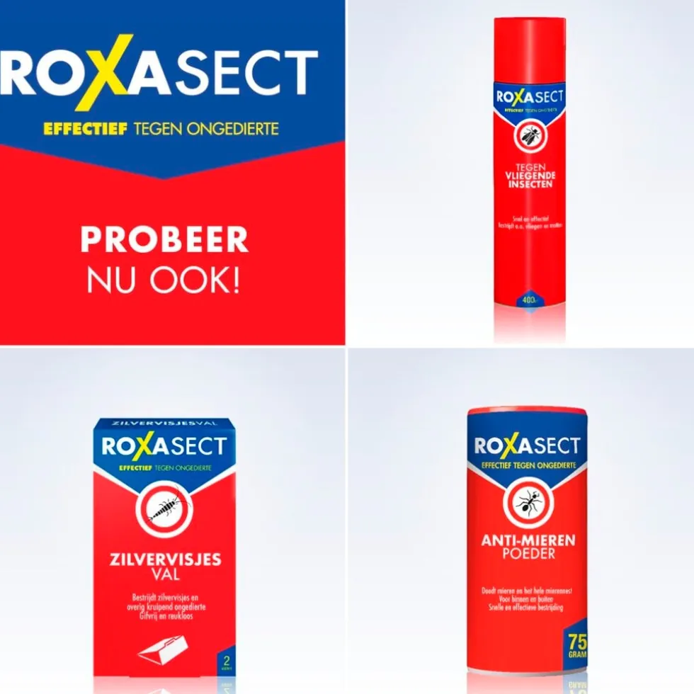Roxasect Spuitbus tegen Kruipende Insecten en Wespen