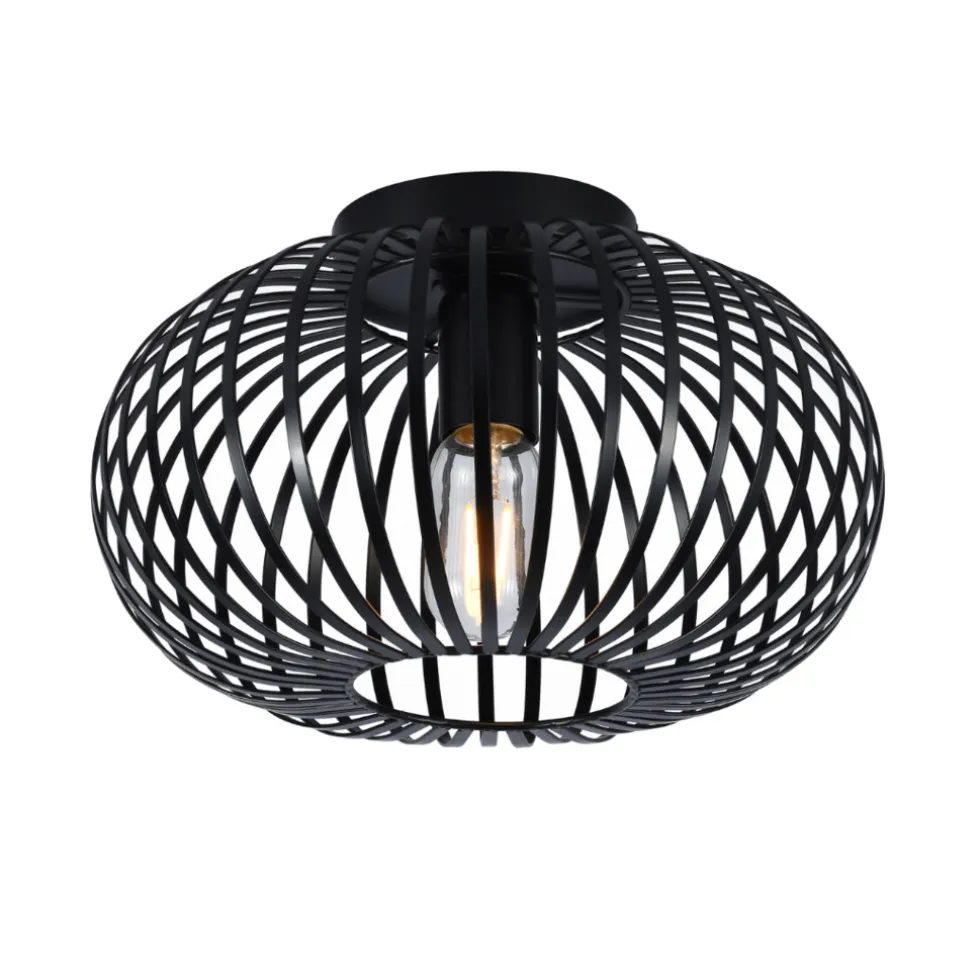 SensaHome Plafondlamp Industrieel Plafonnière Retro Wire Kooi Design