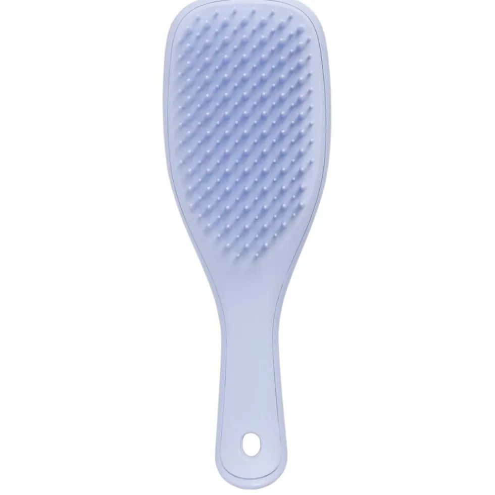 Tangle Teezer Detangler Mini Hairbrush