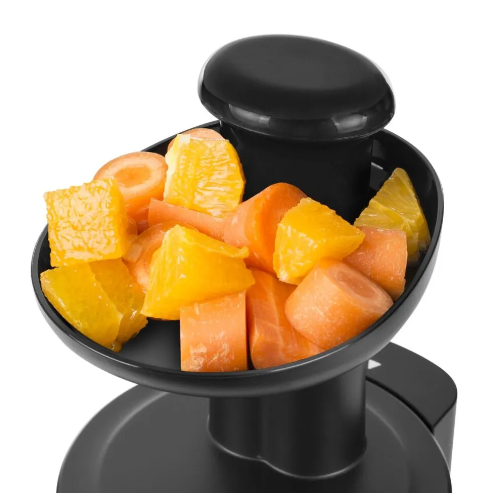 Tristar SC-2303 Slowjuicer