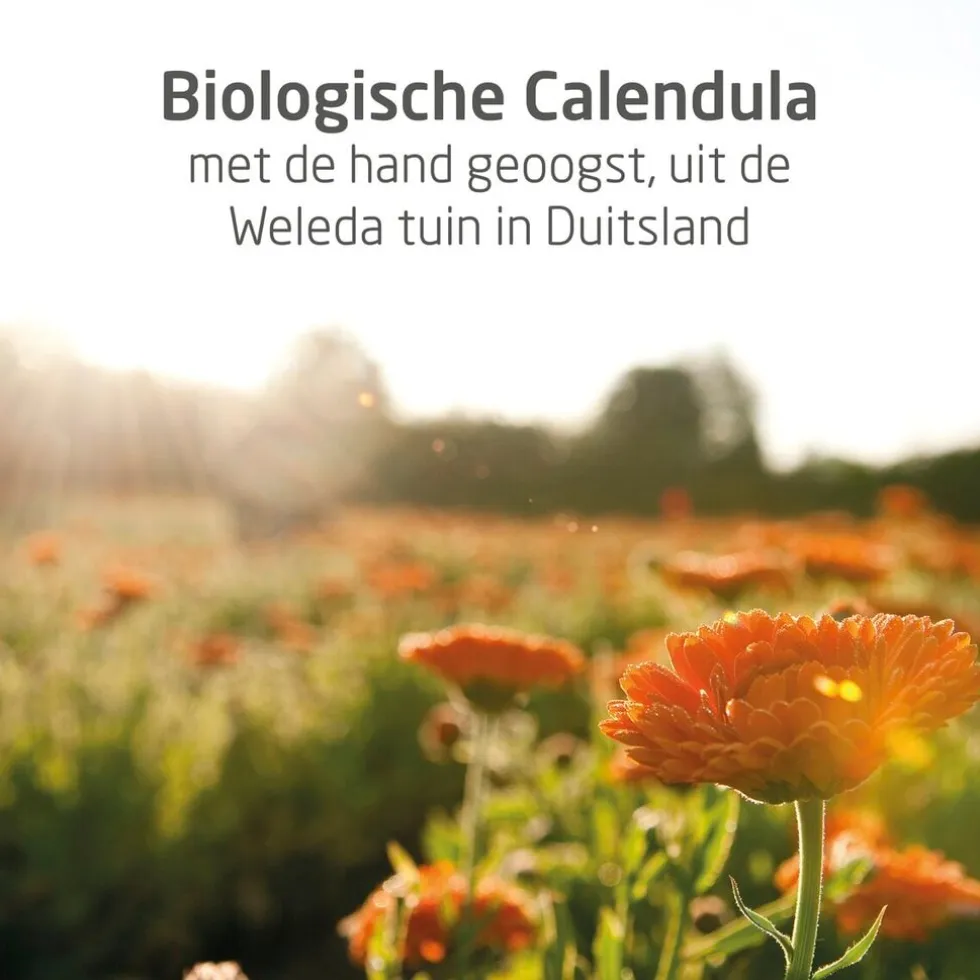 Weleda Baby Calendula Gezichtscrème
