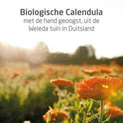 Weleda Calendula Weer en Windbalsem